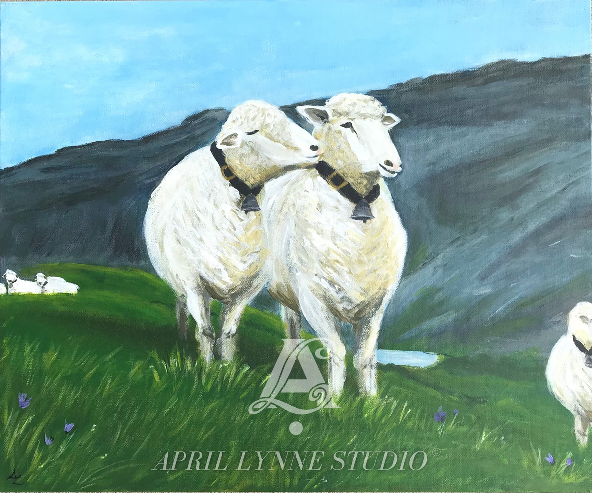 Swiss Sheep