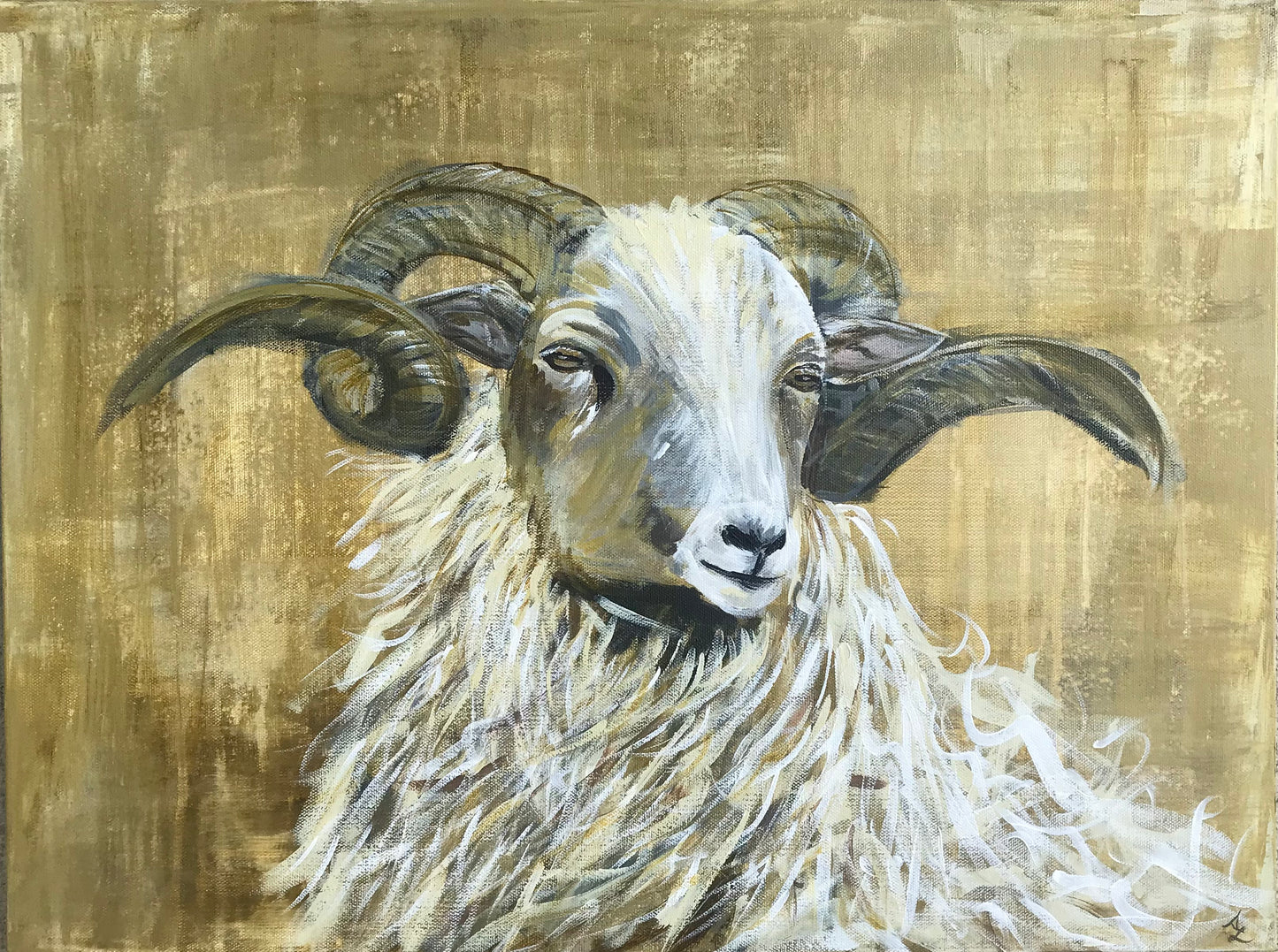 Ram