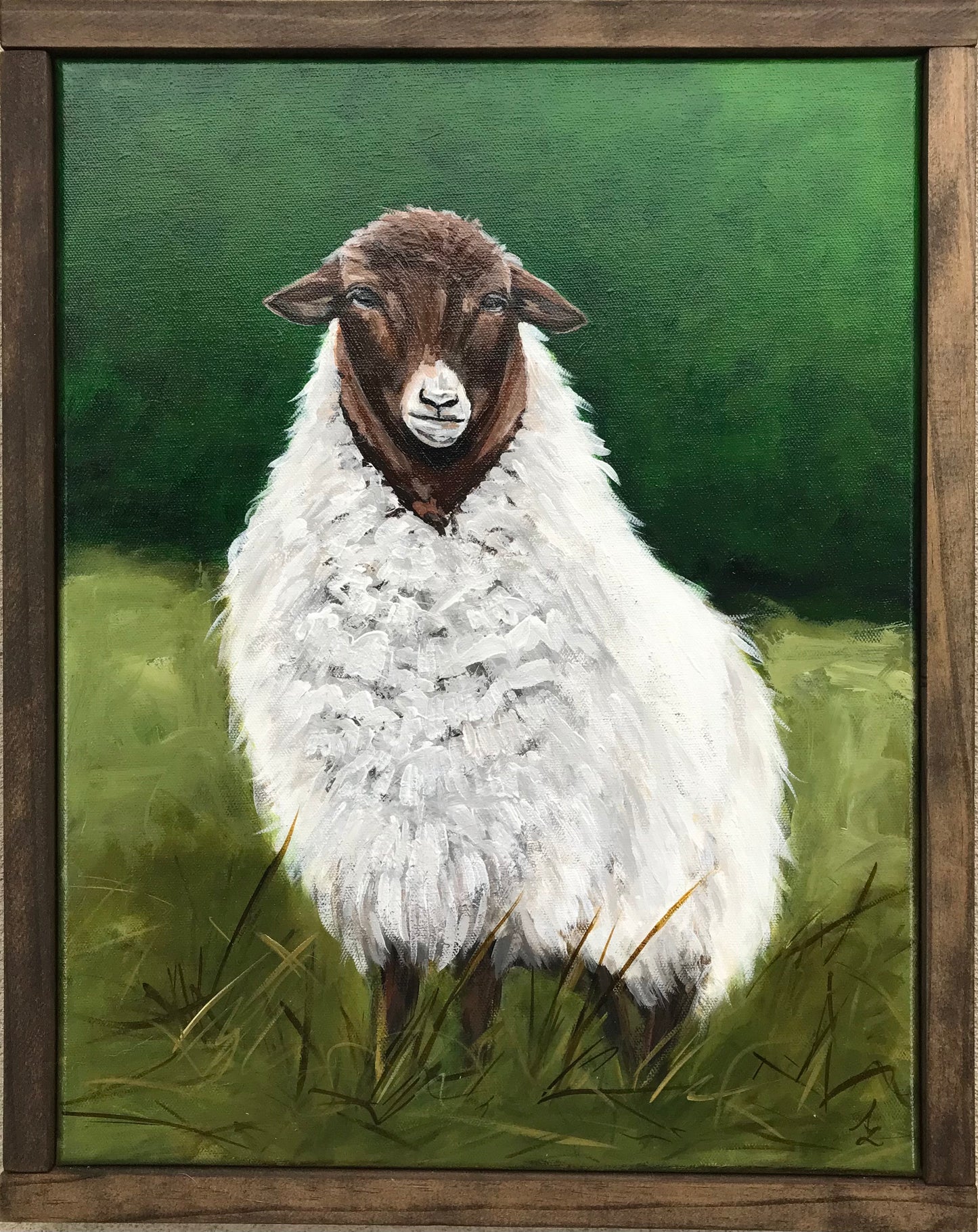 Brown Sheep