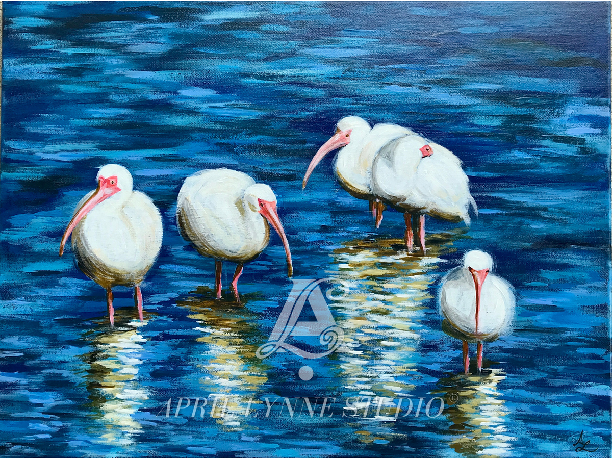 Ibis