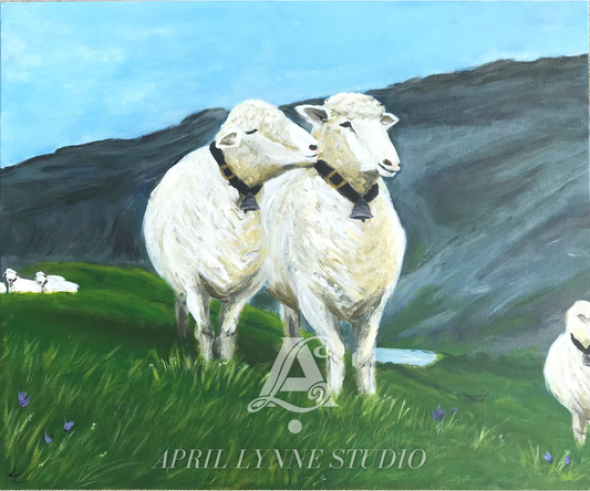 Swiss Sheep