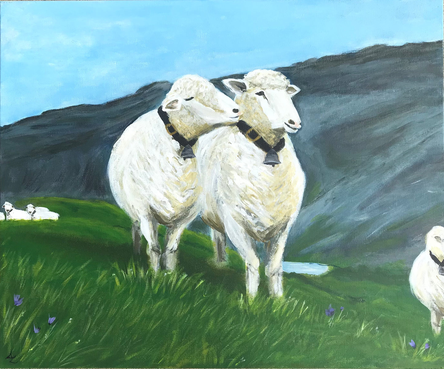 Swiss Sheep