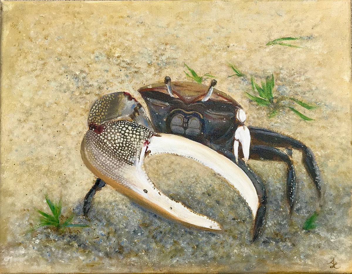 Crab
