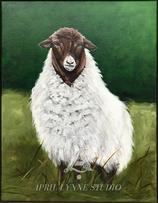 Brown Sheep